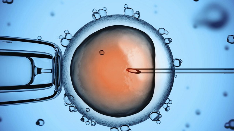 Thụ tinh ống nghiệm là hình thức tạo ra phôi ở phòng lab rồi chuyển vào tử cung 