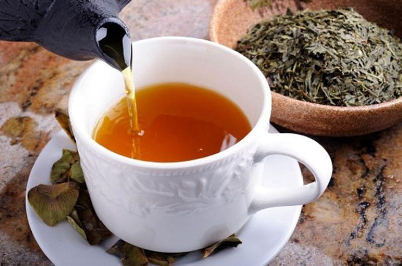 Có thể sử dụng lá vú sữa khô sắc như trà để uống hàng ngày chữa đau dạ dày