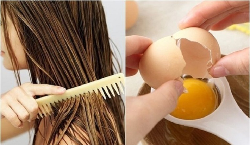 Trứng gà có thể làm mặt nạ ủ tóc, giúp tình trạng rụng tóc được cải thiện