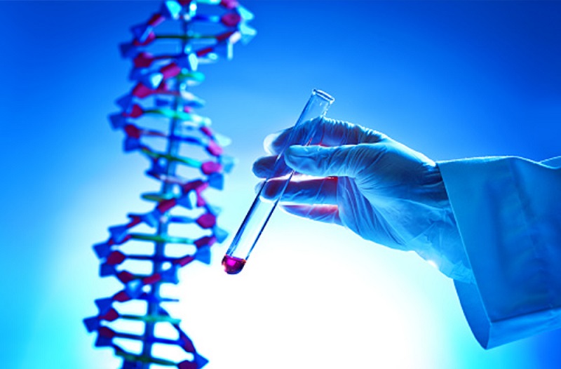 Xét nghiệm gen giúp phát hiện gen đột biến hoặc gen bệnh