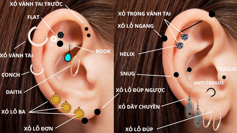 Bấm lỗ tai có đau không phụ thuộc rất nhiều vào vị trí bấm lỗ 