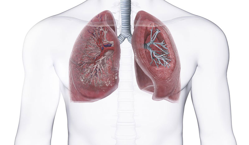 Rửa màng phổi không thực hiện đối với bệnh nhân rò phế quản