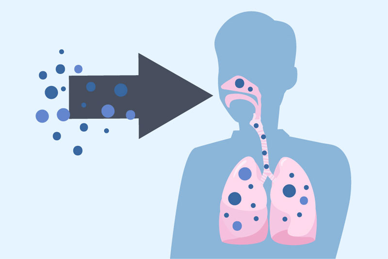 Có rất nhiều loại nấm gây tổn thương phổi