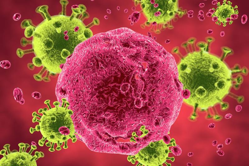 Virus HIV xâm nhập vào cơ thể sẽ tấn công tế bào bạch cầu và các lympho bào T