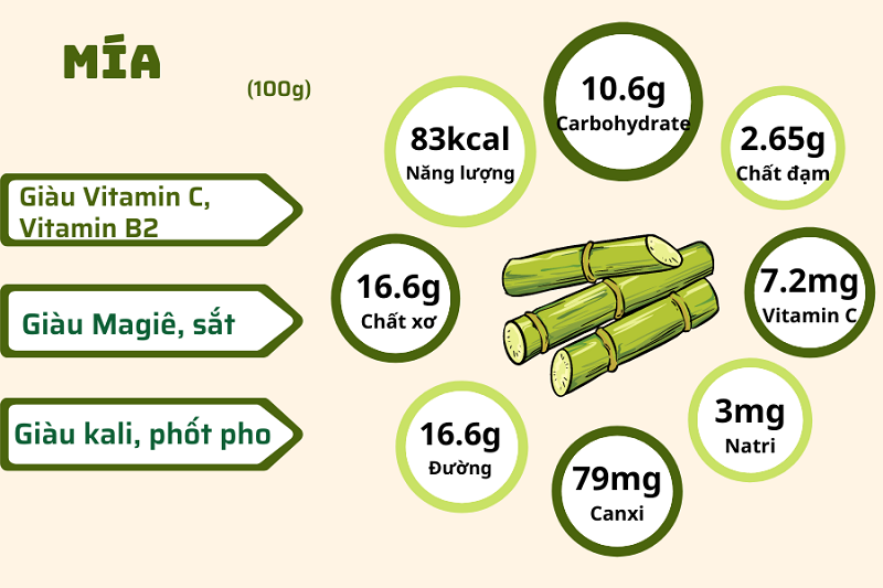 Tham khảo thành phần dinh dưỡng của cây mía