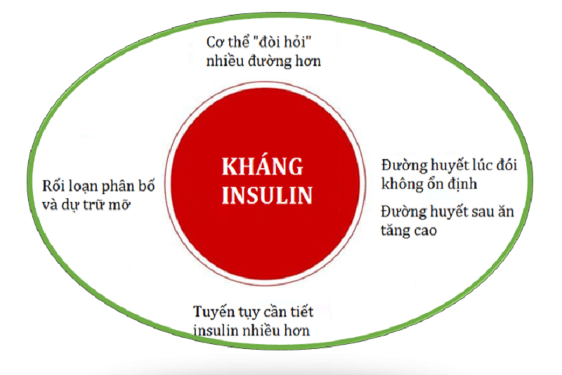 Mô phỏng về cơ chế kháng insulin