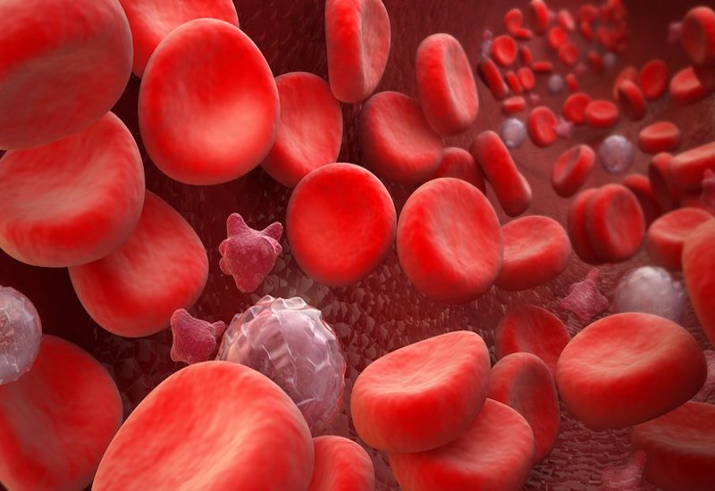 Dựa trên kết quả xét nghiệm huyết đồ có thể biết được tình trạng hiện tại của các thành phần máu