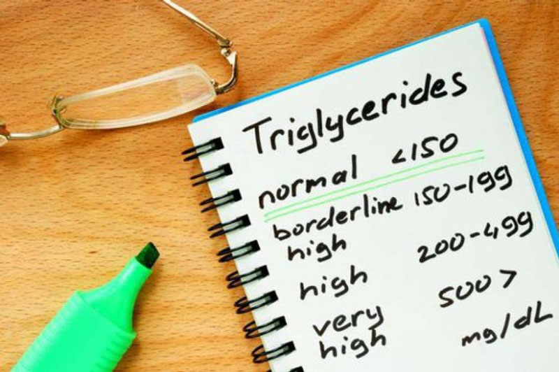 Người khỏe mạnh có chỉ số triglycerides dưới 150 mg/dL