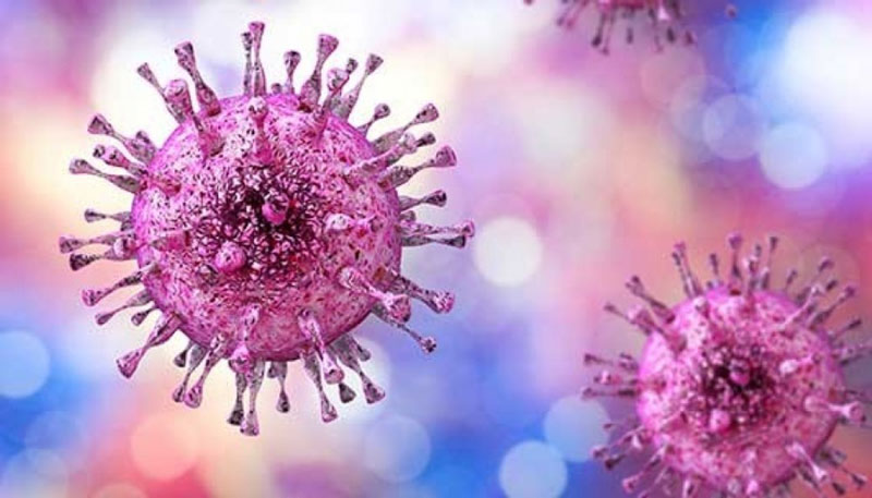 Virus Herpes simplex là tác nhân chính gây mụn rộp sinh dục