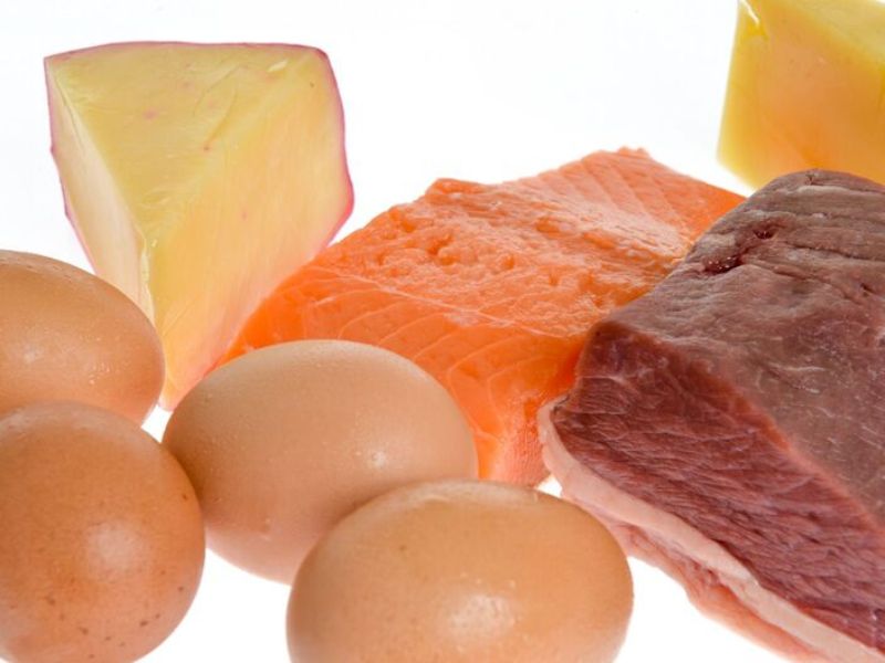 Vitamin B có trong thịt động vật