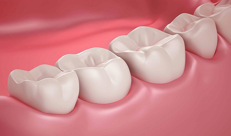 Tìm hiểu về răng hàm là răng nào và vai trò của chúng
