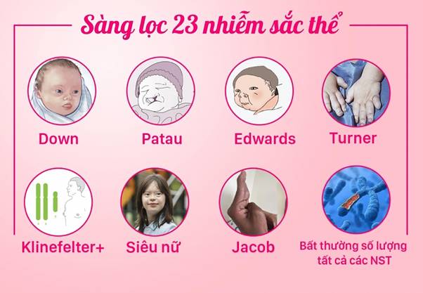 3. Ý nghĩa của 23 cặp nhiễm sắc thể trong di truyền học