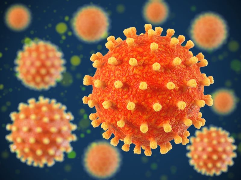 Virus HSV (type 1 và 2) là tác nhân gây ra căn bệnh mụn rộp sinh dục