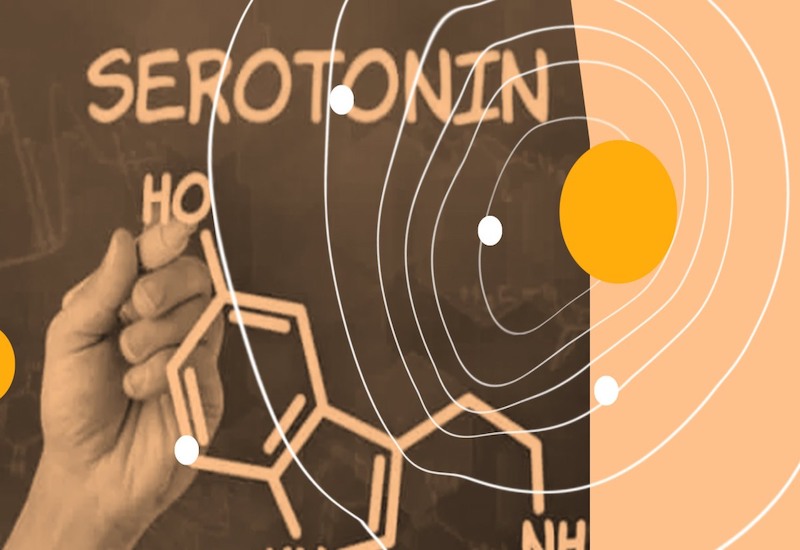 Dopamine và oxytocin là những hormone nào?
