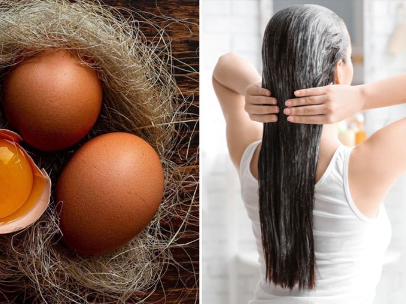 Trứng kích thích sự hoạt động của nang tóc