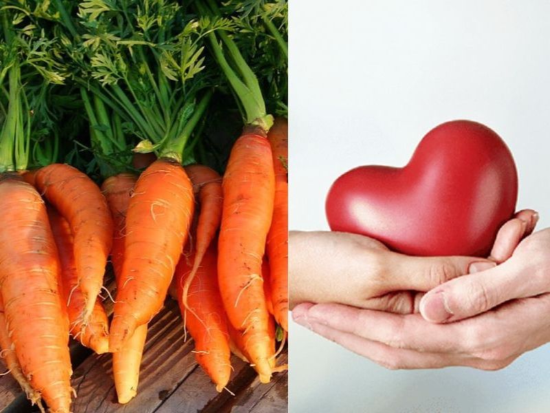 Cà rốt giúp bảo vệ sức khỏe trái tim
