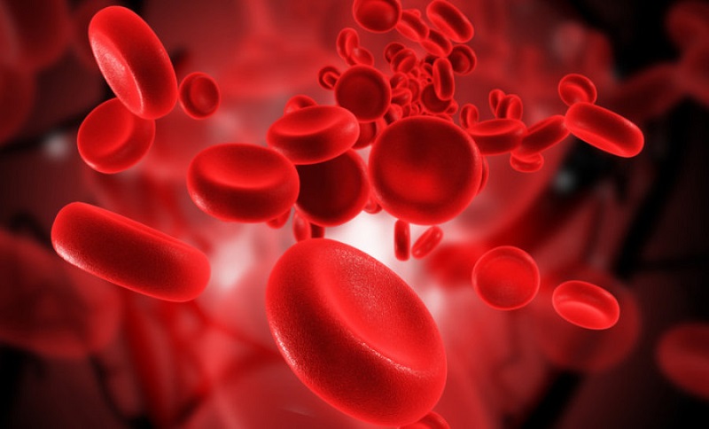 Thiếu sắt trong máu có thể khiến cho lượng huyết sắc tố trung bình hồng cầu xuống thấp