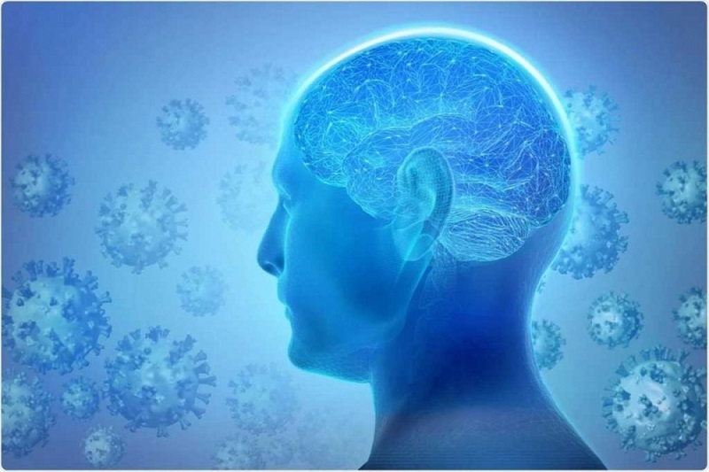 Hội chứng não sương mù được xem là có liên quan với đau xơ cứng