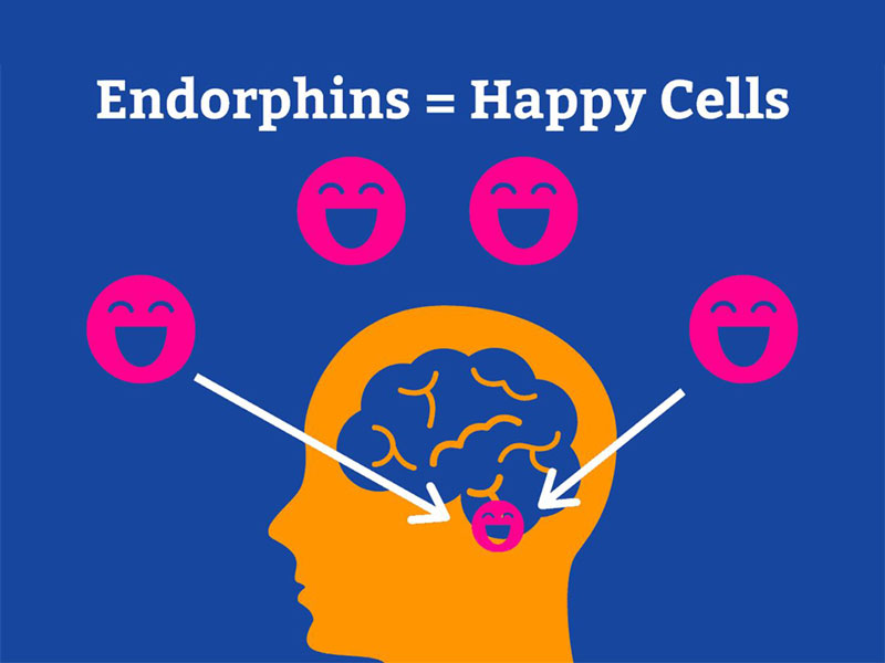 Khi cười, endorphin được sản sinh giúp bạn vui vẻ, hạnh phúc hơn