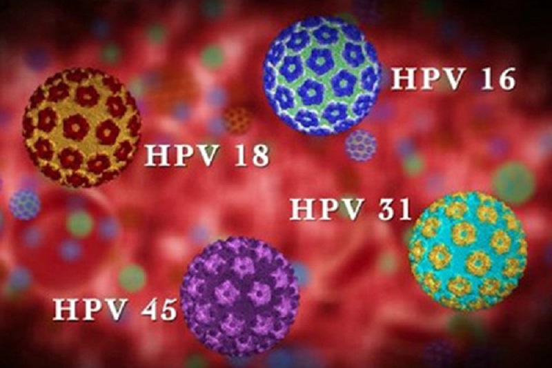 Các chủng HPV có nguy cơ đột biến tế bào gây ung thư cổ tử cung