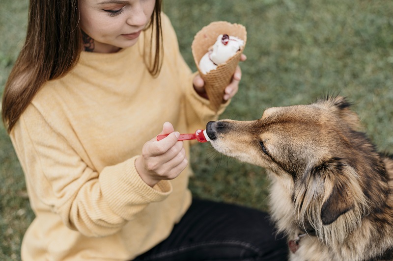 Giun đũa chó sinh sống trong ruột non chó.