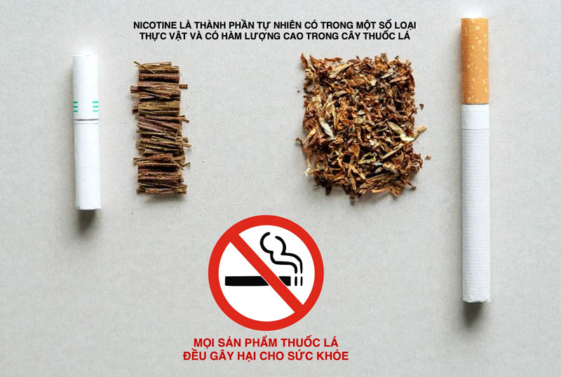 Tác hại của thuốc lá đối với sức khỏe là cực kỳ nghiêm trọng