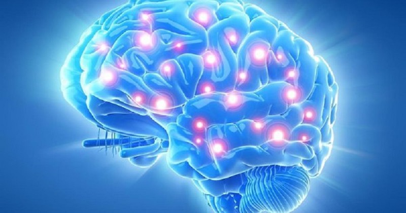 Hầu hết các loại thuốc bổ thần kinh có tác dụng cải thiện trí nhớ, chất lượng giấc ngủ và tình trạng đau đầu