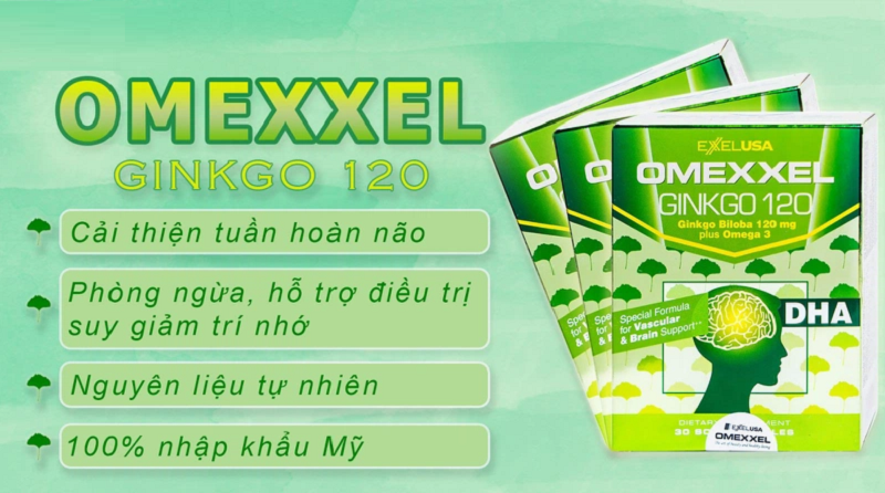 Công dụng của thuốc bổ thần kinh Omexxel Ginkgo 120 