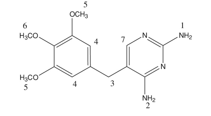 Trimethoprim là thành phần chính có trong thuốc Biseptol
