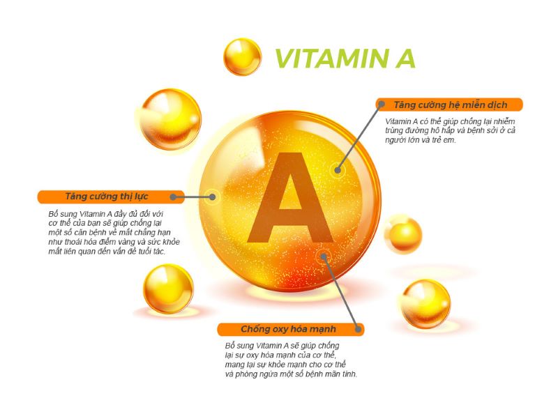 Vitamin A là hợp chất quan trọng đối với cơ thể