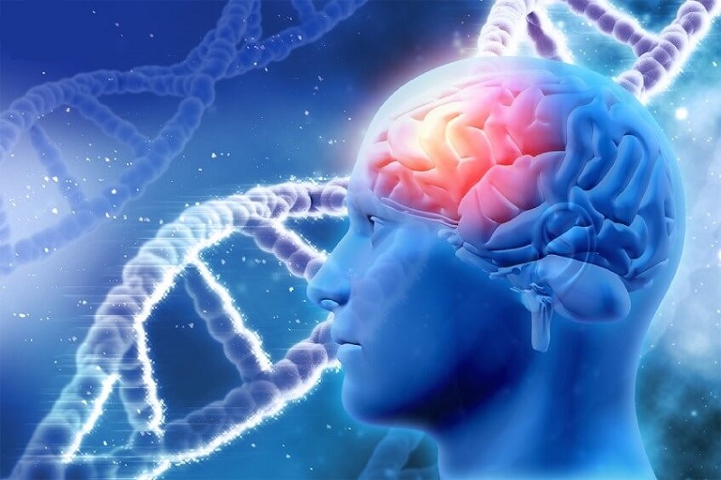 Gen di truyền là một trong nguyên nhân gây nên các bệnh về não
