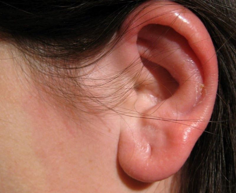 Fosmicin được chỉ định để điều trị viêm tai ngoài và viêm tai giữa