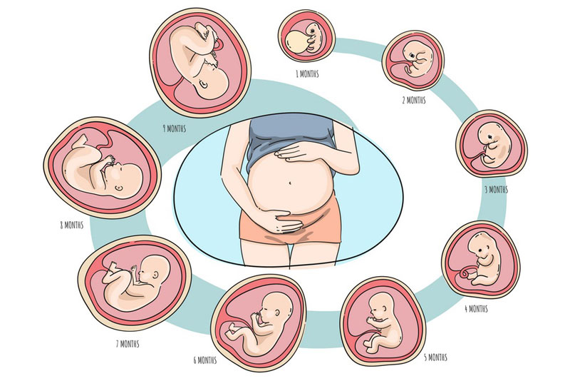 Dư nước ối là tình trạng nước ối vượt quá mức trung bình theo từng giai đoạn