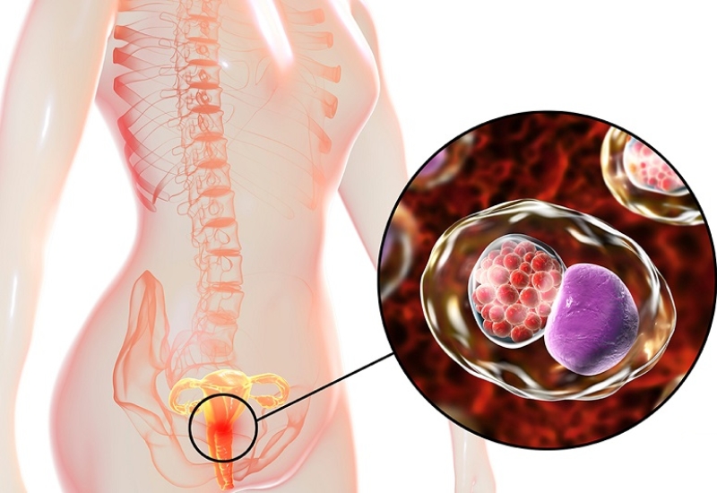 Người bị bệnh do nhiễm Chlamydia có thể được chỉ định dùng kháng sinh Tetracycline