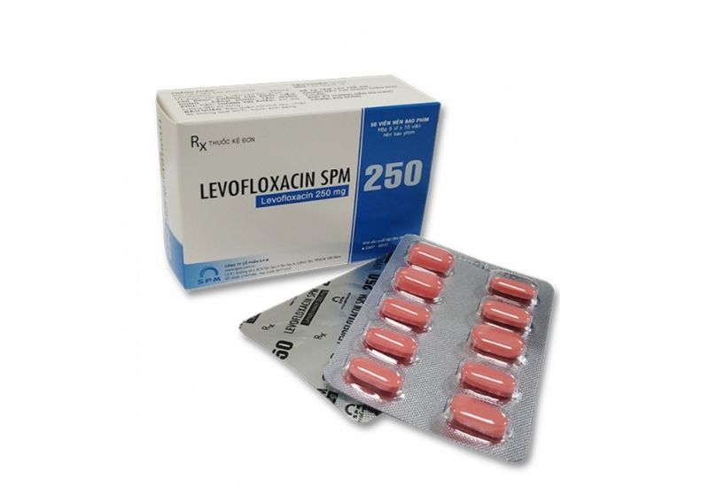 Levofloxacin viên nén 500 mg