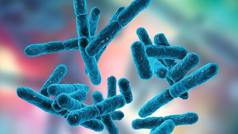 Lao là bệnh truyền nhiễm do vi khuẩn Mycobacterium tuberculosis gây ra