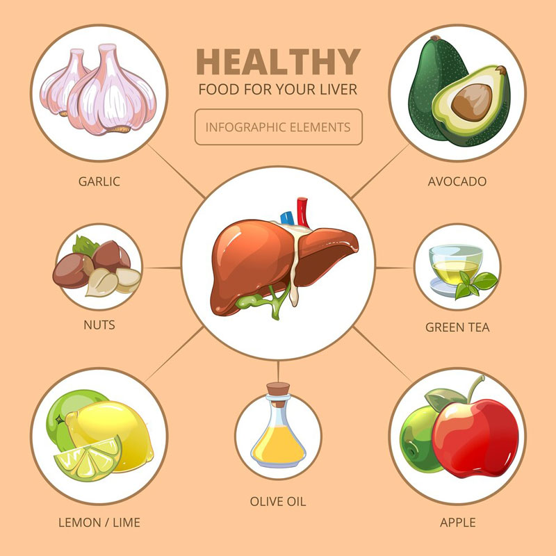 Một chế độ ăn uống lành mạnh giúp bổ gan và cải thiện chức năng gan
