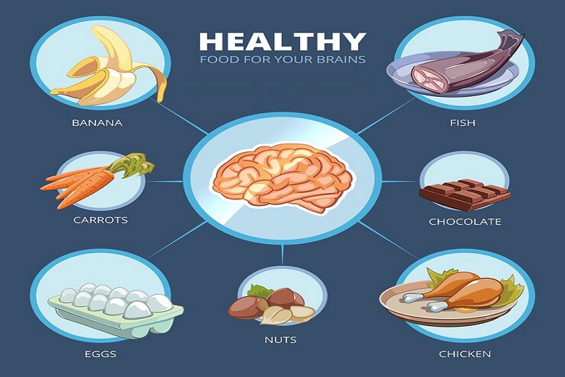 Cân bằng dưỡng chất trong chế độ ăn giúp ổn định sản xuất chất dẫn truyền thần kinh