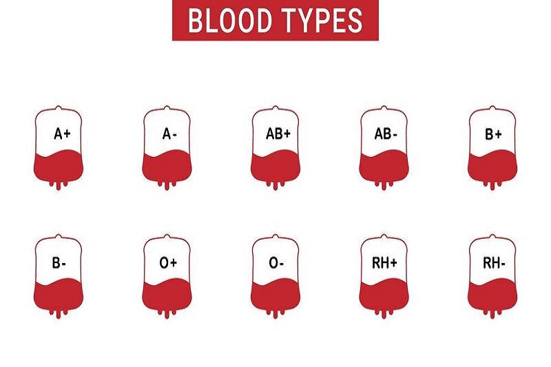 Xét nghiệm nhóm máu Rh giúp xác định nhóm máu
