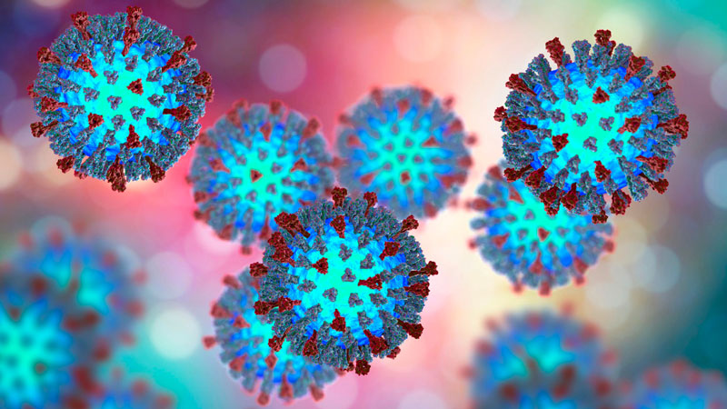 Bệnh sởi khởi phát do một virus mang tên Morbillivirus