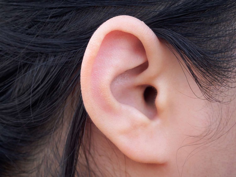 Vành tai rất dễ bị tổn thương