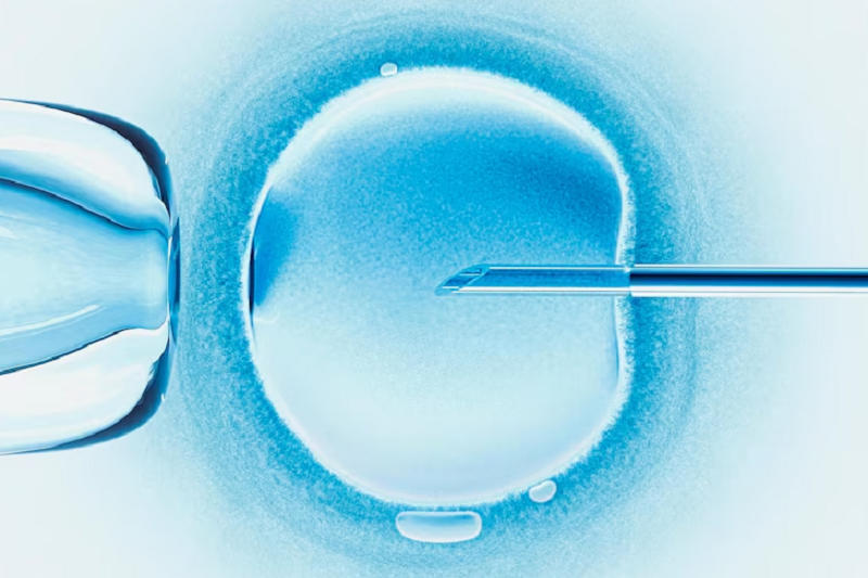 Trước khi chuyển phôi thai IVF, nữ giới cần quan hệ tình dục