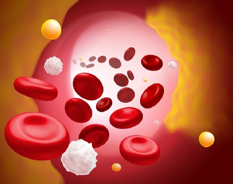 HCT là chỉ số phản ánh số lượng hồng cầu trong máu