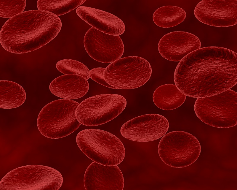 HgB là huyết sắc tố trong tế bào hồng cầu - Hemoglobin