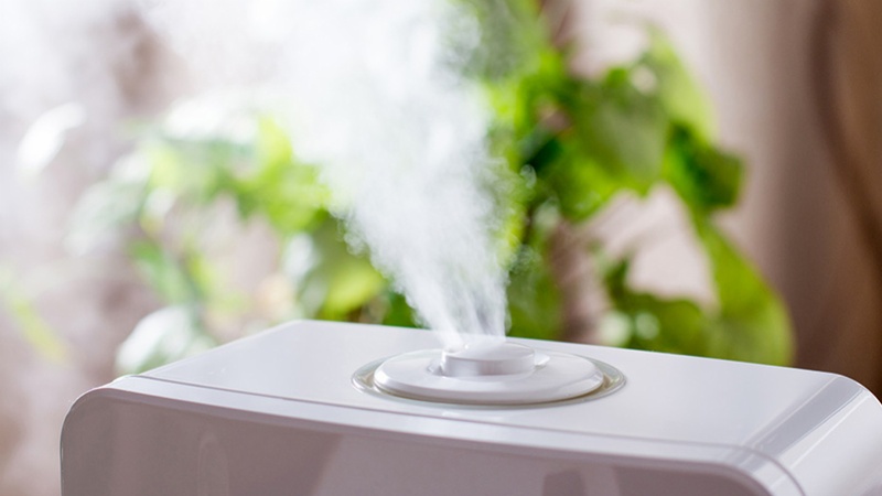 Sử dụng máy tạo ẩm trong nhà vào mùa đông giúp da được cấp ẩm
