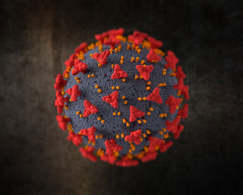 Virus HBV tấn công cơ thể và hình thành bệnh lý viêm gan B