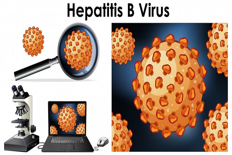 Xét nghiệm viêm gan B là cần thiết để phát hiện chính xác virus HBV