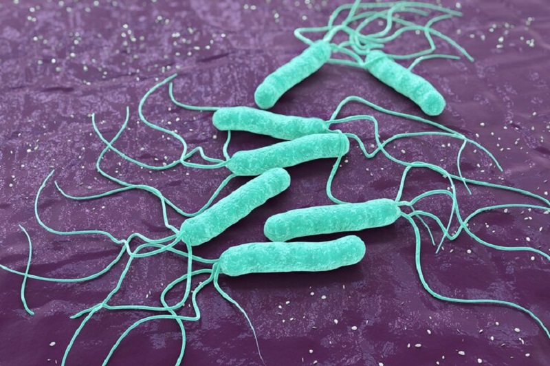 Vi khuẩn Helicobacter pylori - nguyên nhân chính dẫn đến bệnh viêm loét dạ dày - tá tràng