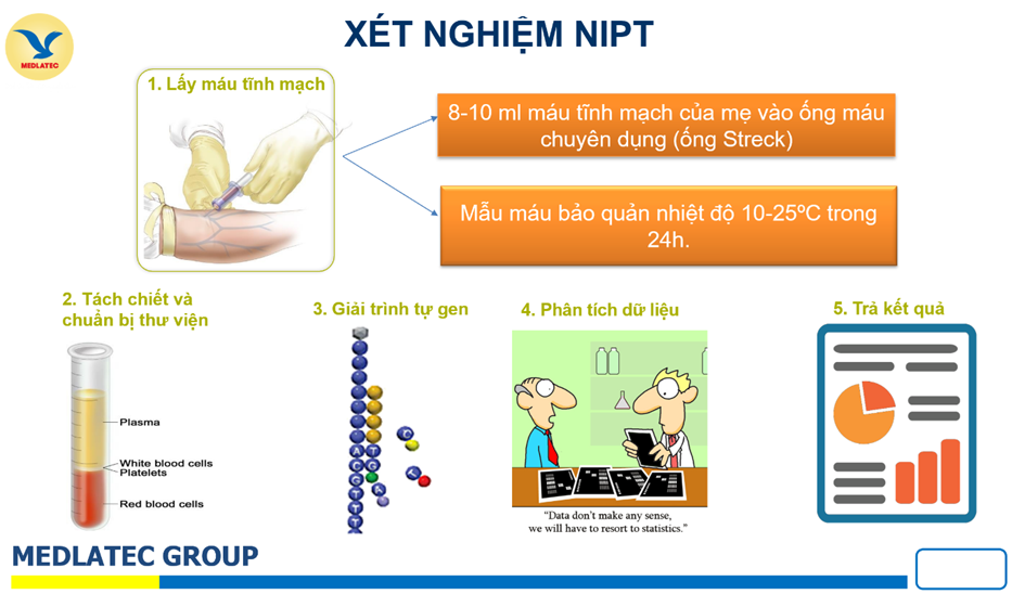 Xét nghiệm NIPT là một biện pháp sàng lọc trước sinh hiệu quả giúp phát hiện sớm