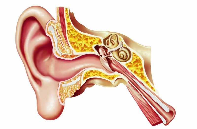 Cách chẩn đoán viêm dây thần kinh tai?
